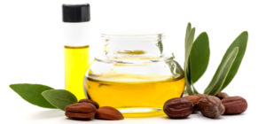Jojoba